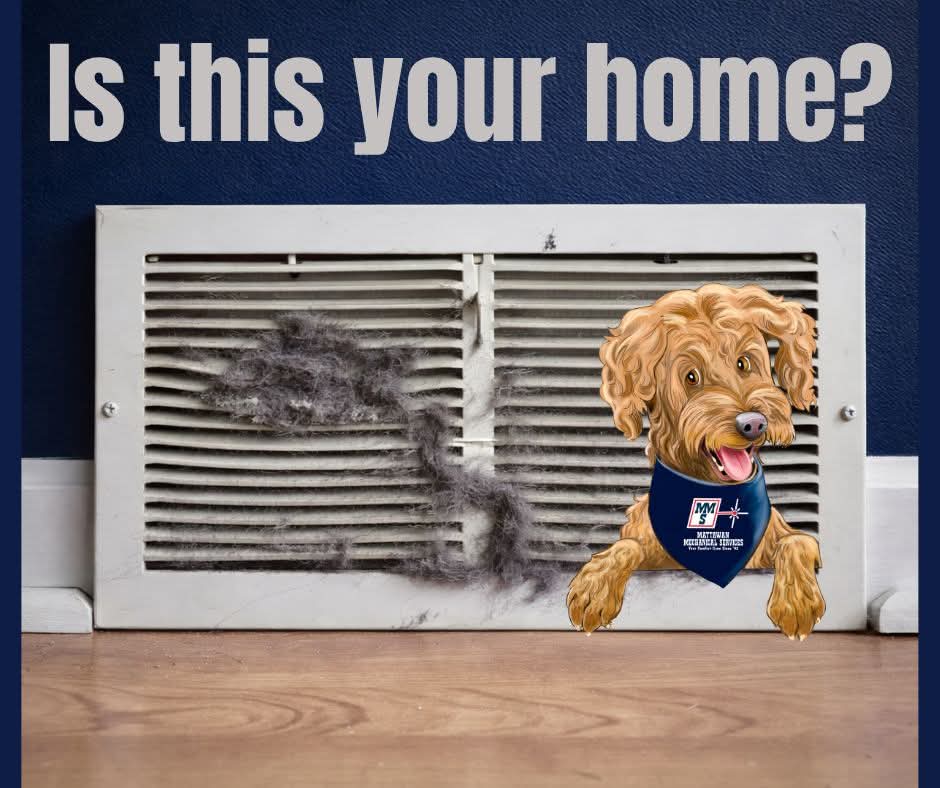 Image of vent with a clump of dust with a text on top saying 'is this your home?'