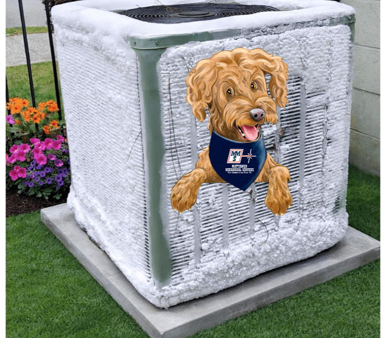 Why Your AC Freezes Up & What to Do